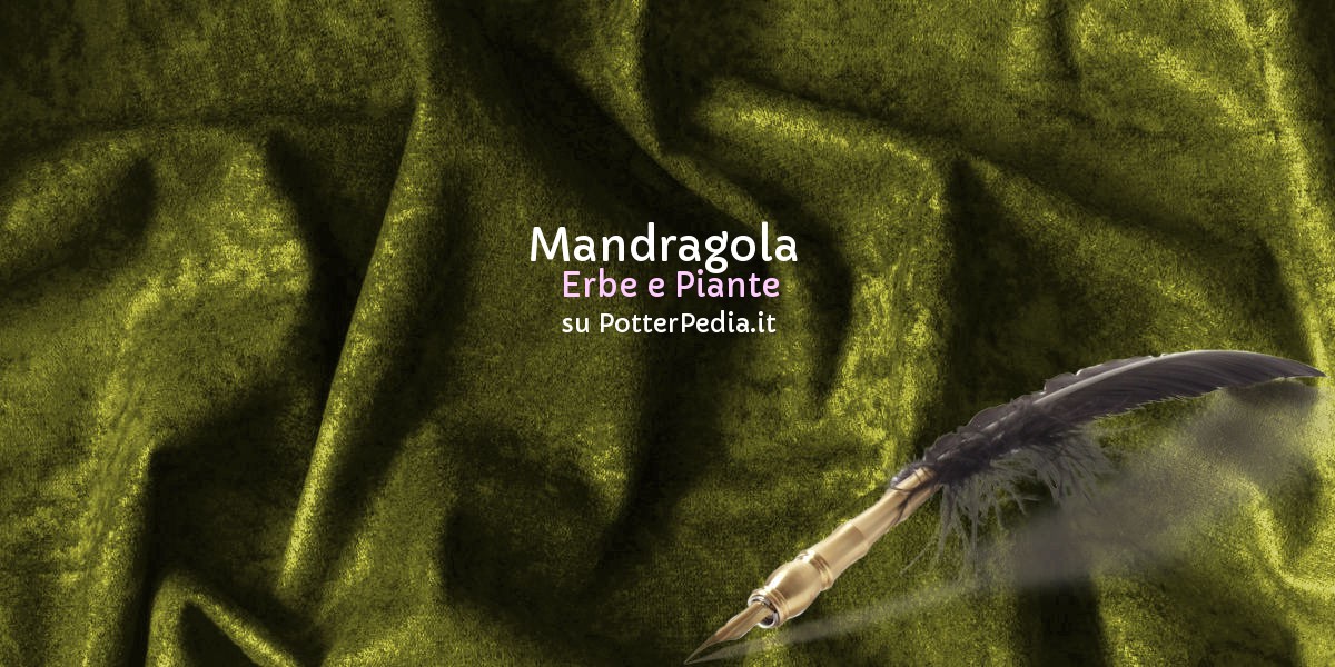 Mandragora su Harry Potter Enciclopedia -  by HarryWeb.Net